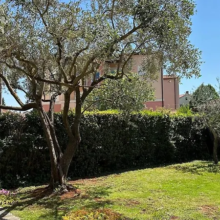 Appartement Mimoza *