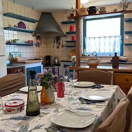 Mimoza Apartment *