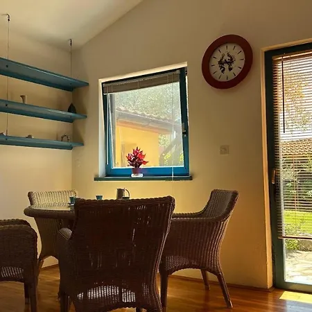 Mimoza Apartment *